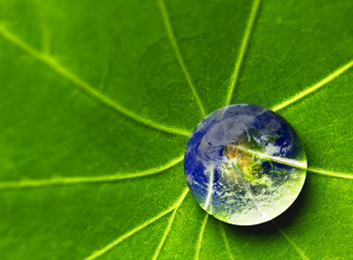 company whatwedo environment quickbox