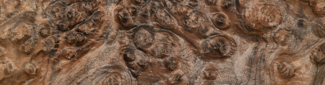 Specialty and exotic veneers