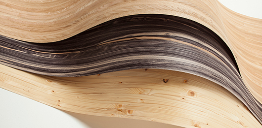 Solutions for Component Producers – Differentiated Product Portfolio